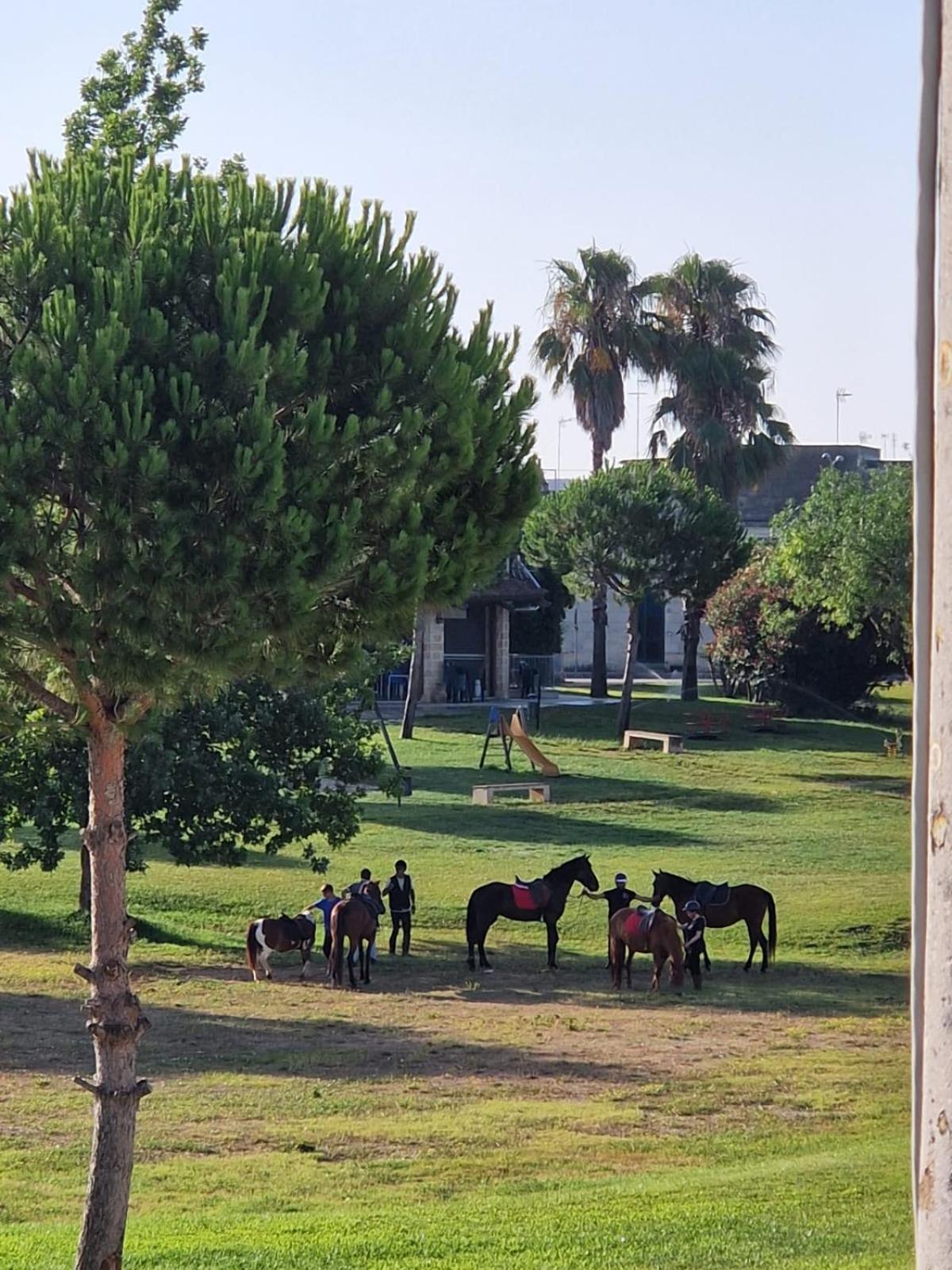 הוילה Botrugno La Macchia מראה חיצוני תמונה