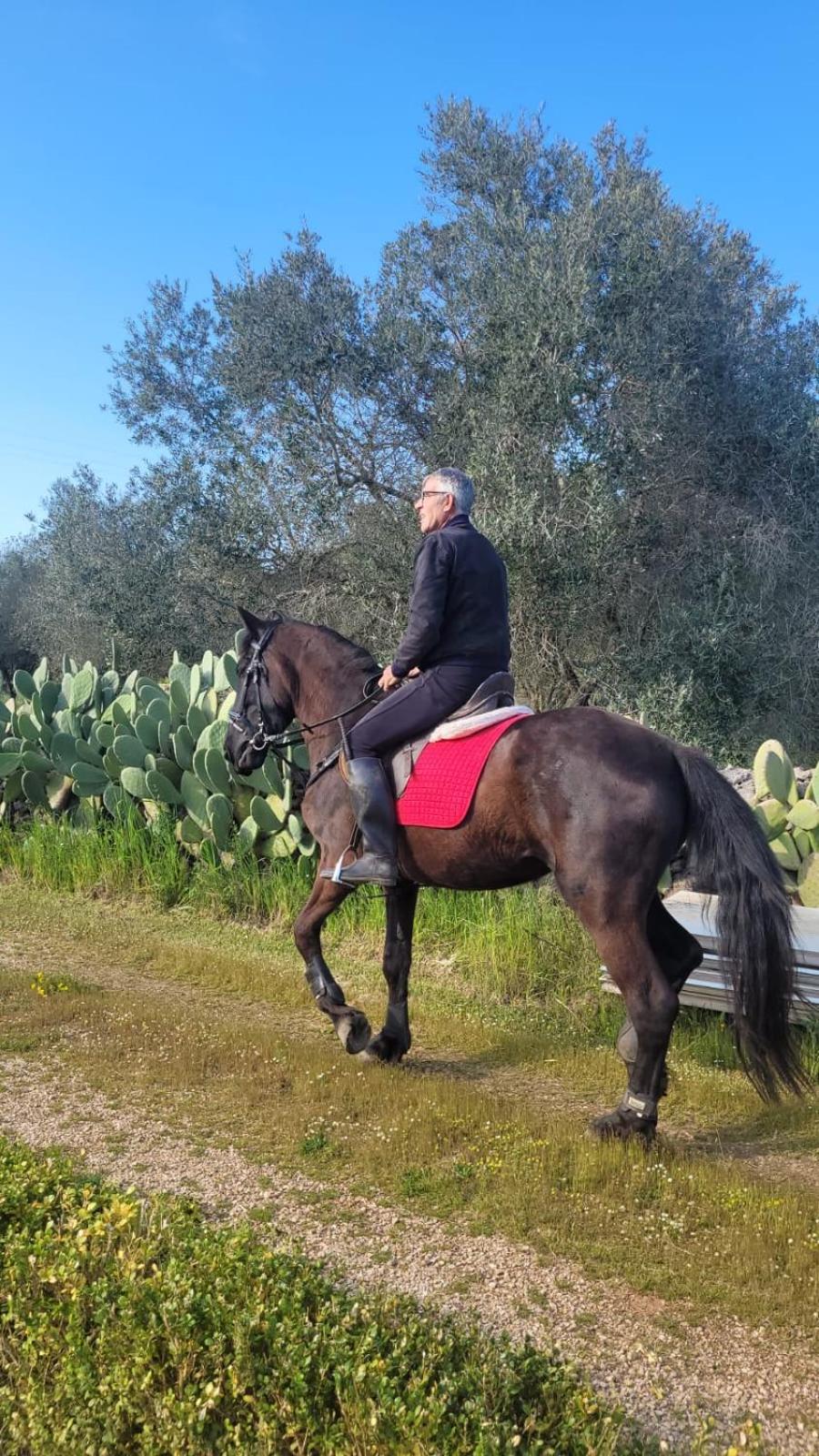 הוילה Botrugno La Macchia מראה חיצוני תמונה